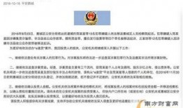 武汉职场爆料事件最新情况,真相与争议交织的职场风云