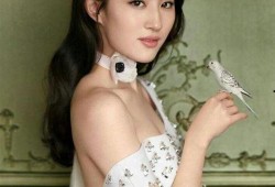 刘亦菲最新消息爆料,揭秘女神近况与神秘新作品