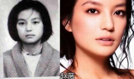 明星爆料图集大全最新版,最新版独家揭秘，娱乐圈幕后真相大曝光