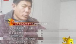成武吃瓜最新事件爆料是真的吗,最新爆料真相揭秘