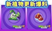 最新 植物爆料视频大全,最新爆料视频大全揭秘大自然奥秘