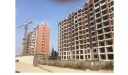 藁城爆料最新,最新动态一网打尽，揭秘城市热点事件