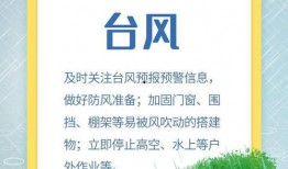 情报君最新爆料5月12日,情报君独家揭秘重大事件幕后真相