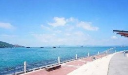 深圳南澳最新爆料,揭秘神秘爆料背后的精彩故事