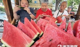 成武吃瓜最新事件爆料是真的吗,最新爆料真相揭秘